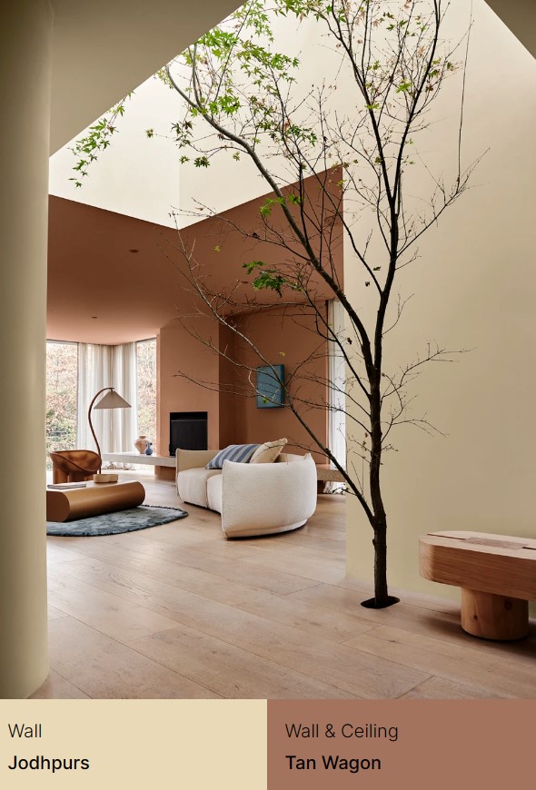 Dulux Colour Forecast 2024 - Inspired Spaces